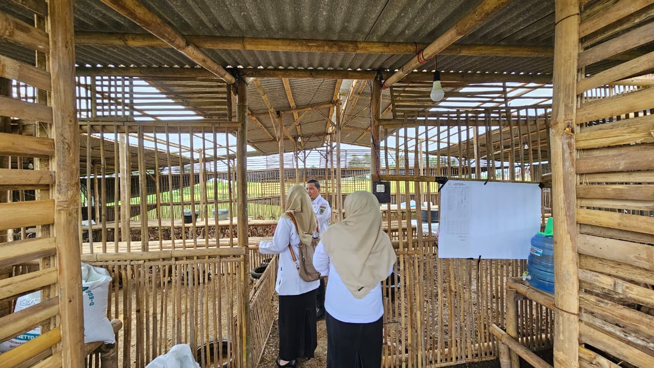 WhatsApp Image 2025-10-15 at 09-36-59